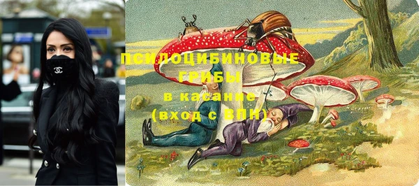 бошки Белокуриха