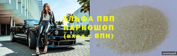 бошки Белокуриха