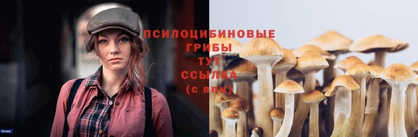 jwh Богородск