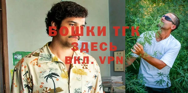 бошки Белокуриха