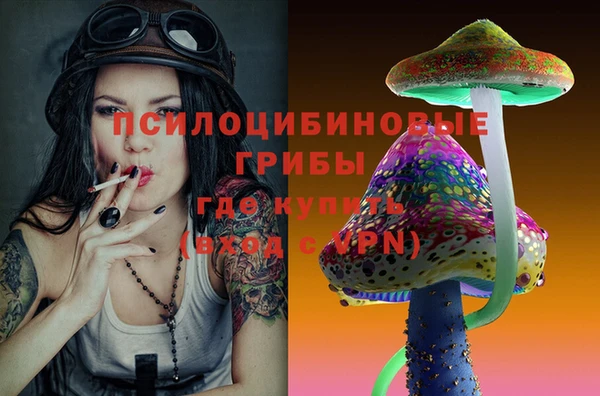 бошки Белокуриха