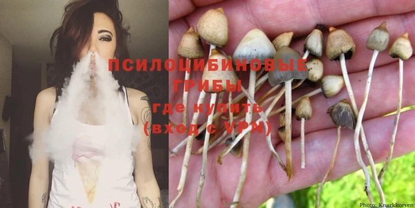 бошки Белокуриха
