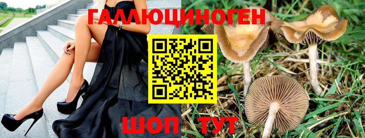 Псилоцибиновые грибы ЛСД  Псилоцибиновые грибы ЛСД  Вход с VPN  Вязьма 